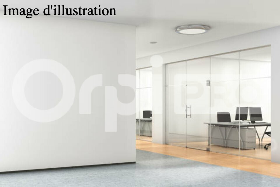 ORPI LSI VAL D'OZON LOCATION-BUREAUX-CORBAS-69