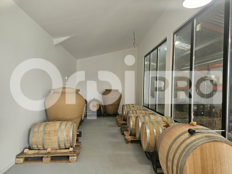 ORPI IMMO33 ENTREPRISE LOCATION-LOCAL D'ACTIVITE-BEGLES-33