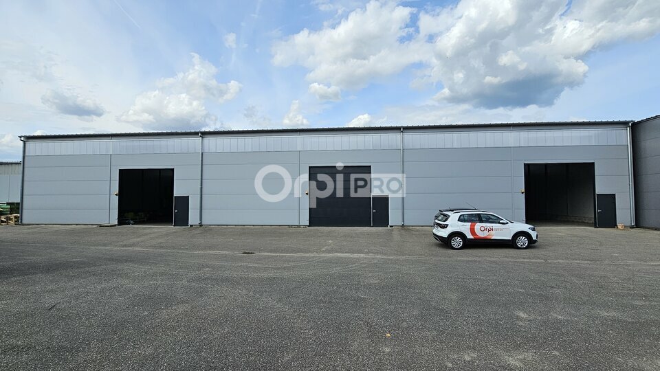ORPI IMMOBILIERE BARTHOLDI LOCATION-ENTREPOT-VOLGELSHEIM-68