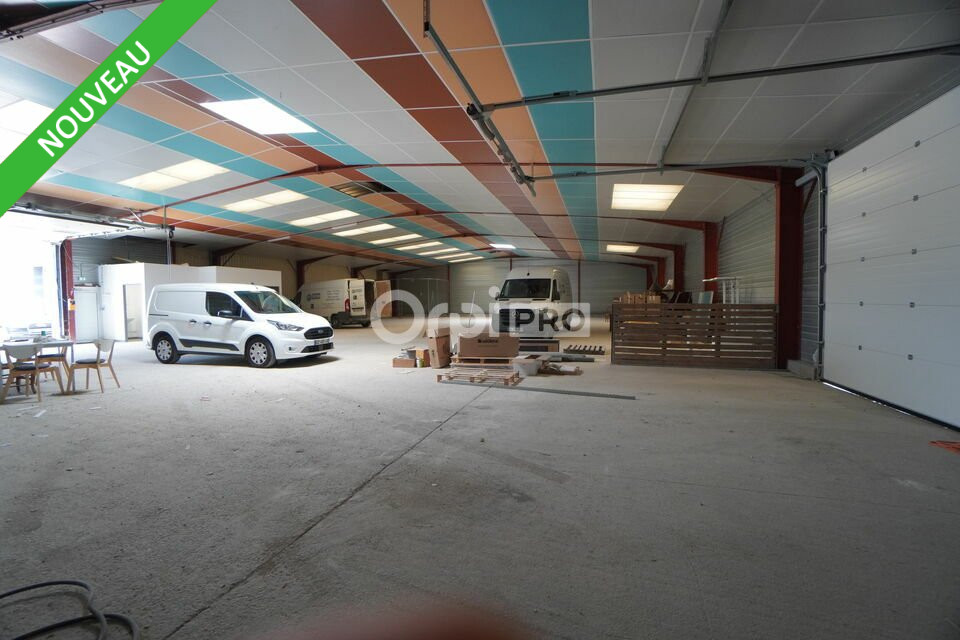 DORIS METZGER IMMOBILIER LOCATION-LOCAL D'ACTIVITE-SAINT_APOLLINAIRE-21