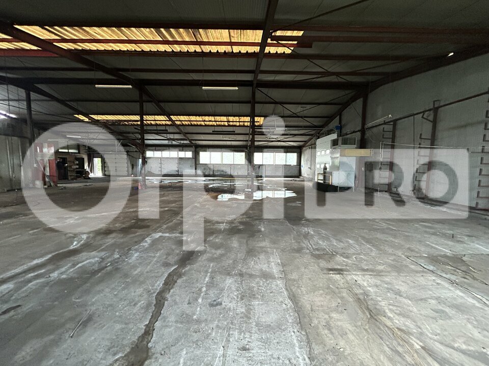 ORPI AGENCE CONSEIL  VENTE-LOCAL D'ACTIVITE-AIXE_SUR_VIENNE-87