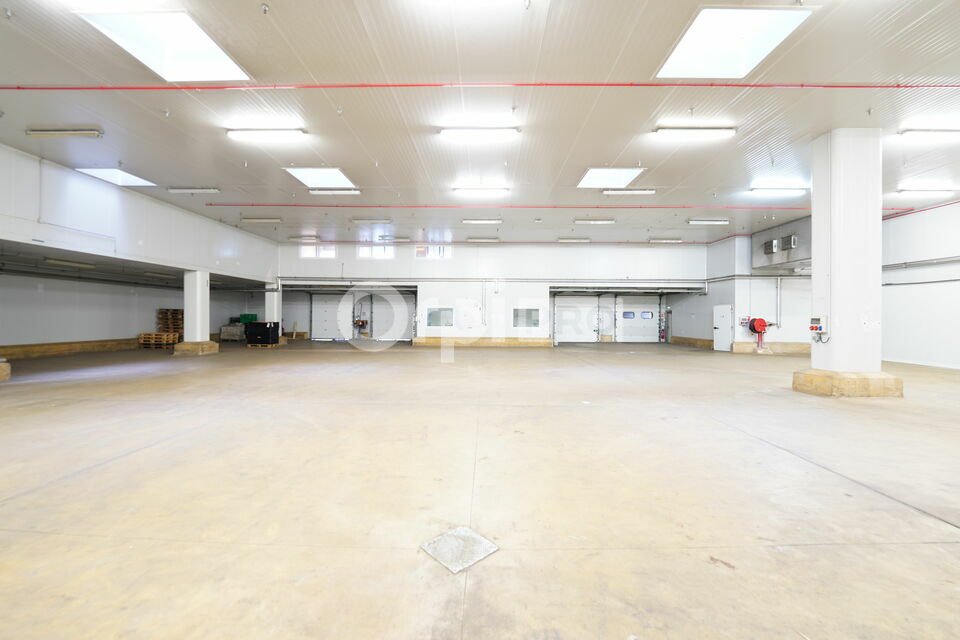 ORPI MYRIAD CONSEIL LOCATION-ENTREPOT-MIONS-69