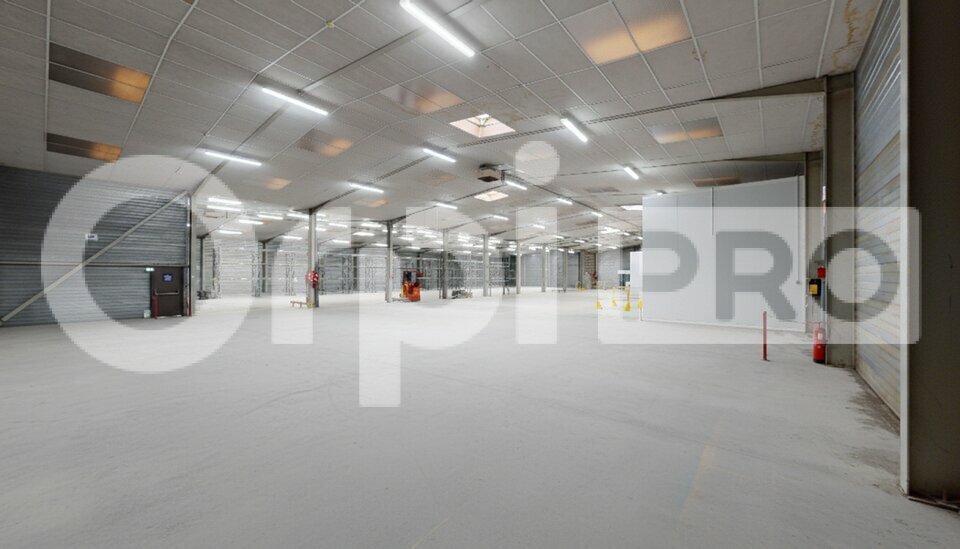 ORPI SAS DIRECT HABITAT VENTE-ENTREPOT-SAINT-QUENTIN-FALLAVIER-38