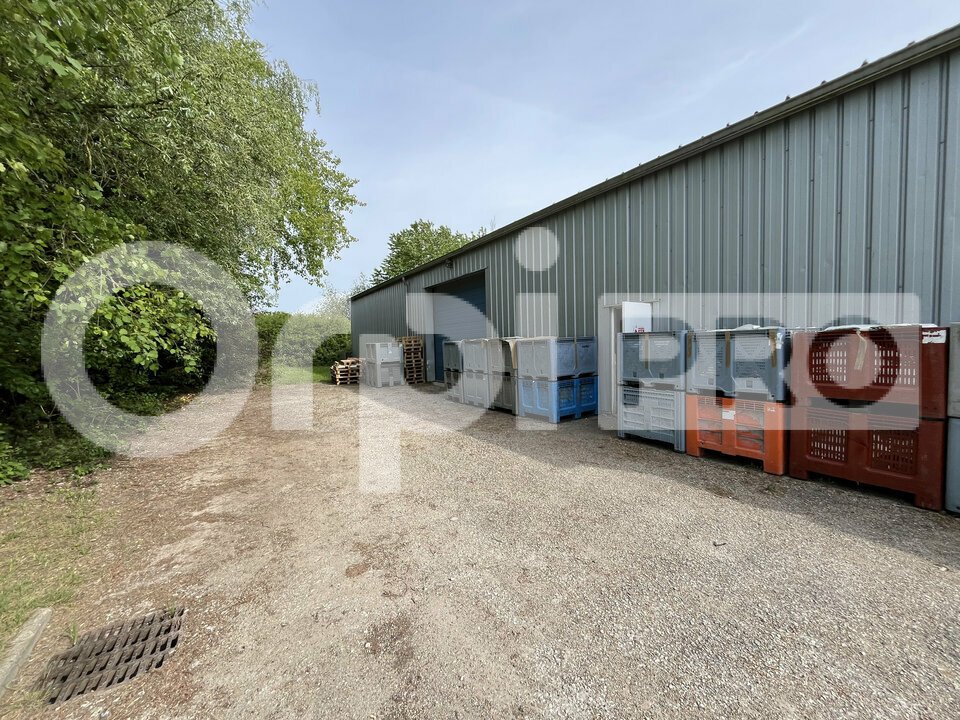 ORPI LA BRIARDE GERANCE VENTE-LOCAL D'ACTIVITE-MORMANT-77