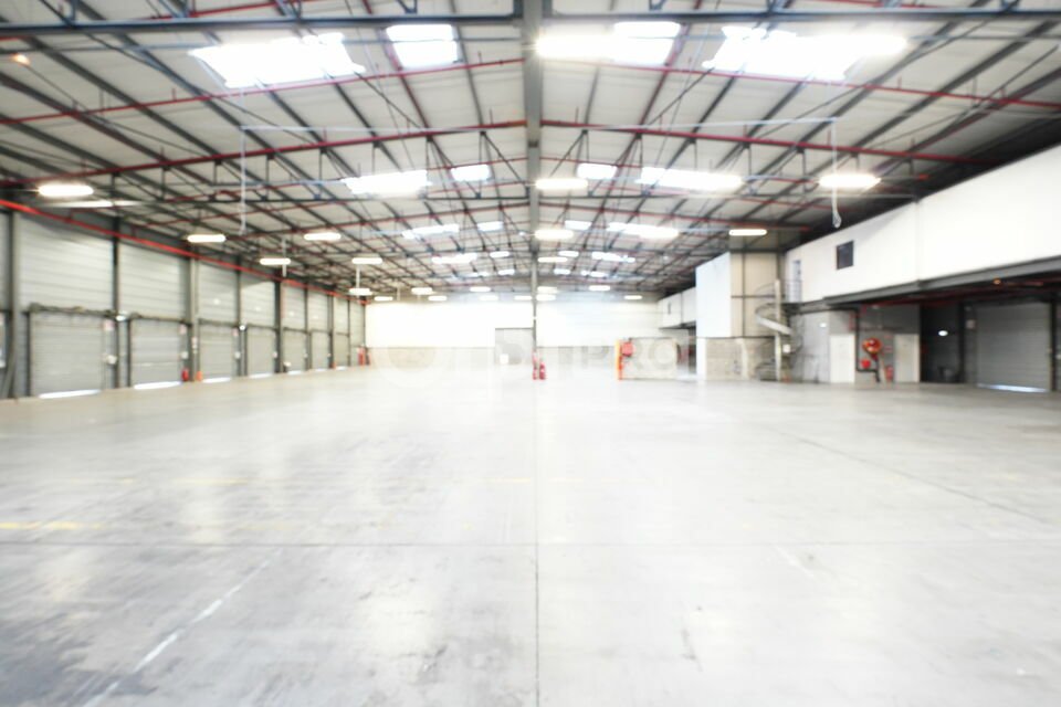 ORPI MYRIAD CONSEIL LOCATION-ENTREPOT-MIONS-69