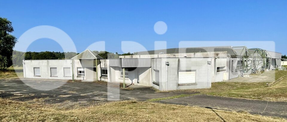ORPI AGENCE CONSEIL  VENTE-LOCAL D'ACTIVITE-SAINT_JUNIEN-87