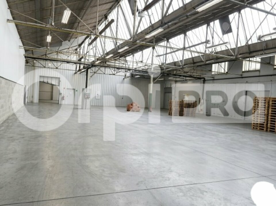 ORPI SAS DIRECT HABITAT LOCATION-LOCAL D'ACTIVITE-BELLEVILLE-69