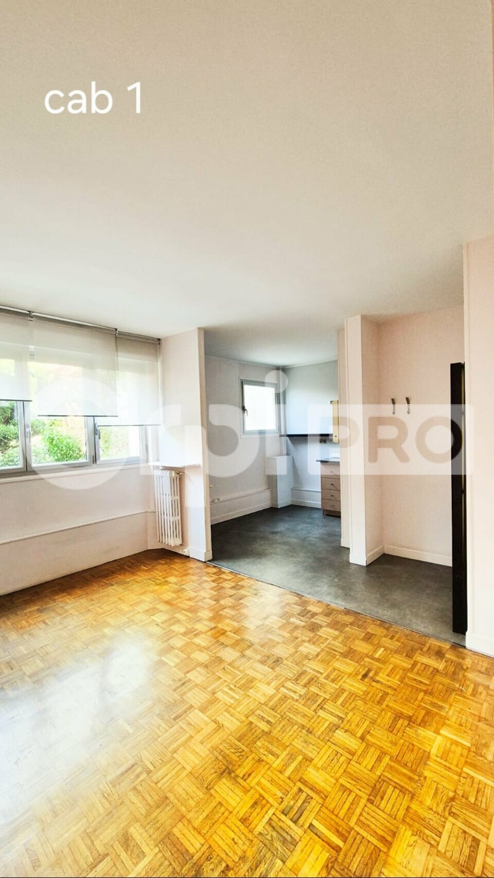 ORPI IMMO ENTRE PRO LOCATION-BUREAUX-JOINVILLE_LE_PONT-94