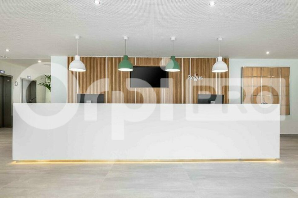 ORPI SAS DIRECT HABITAT LOCATION-BUREAUX-LEVALLOIS_PERRET-92