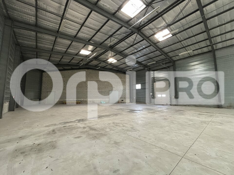 ORPI PROMISSIMO LOCATION-ENTREPOT-MONTLUCON-03