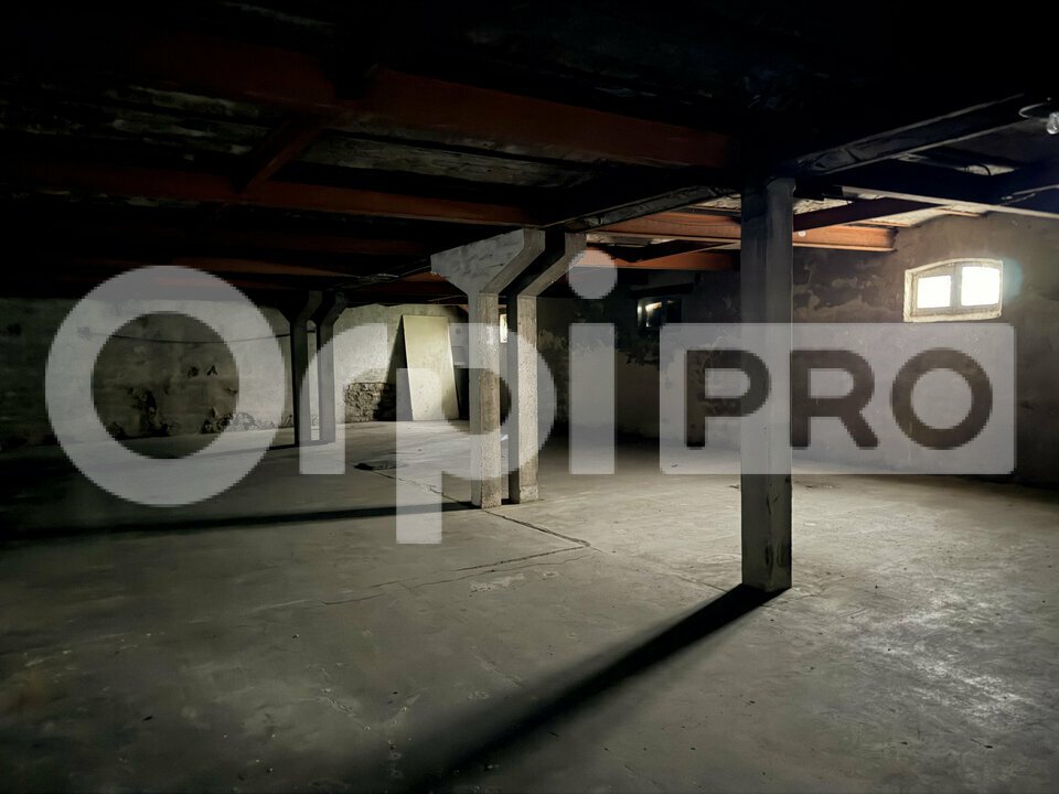 ORPI PROMISSIMO VENTE-LOCAL COMMERCIAL-MONTLUCON-03