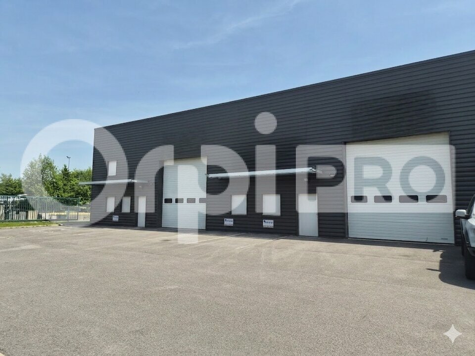 ORPI SARL COMPTOIR IMMOBILIER CHAMPENOIS LOCATION-LOCAL D'ACTIVITE-REIMS-51