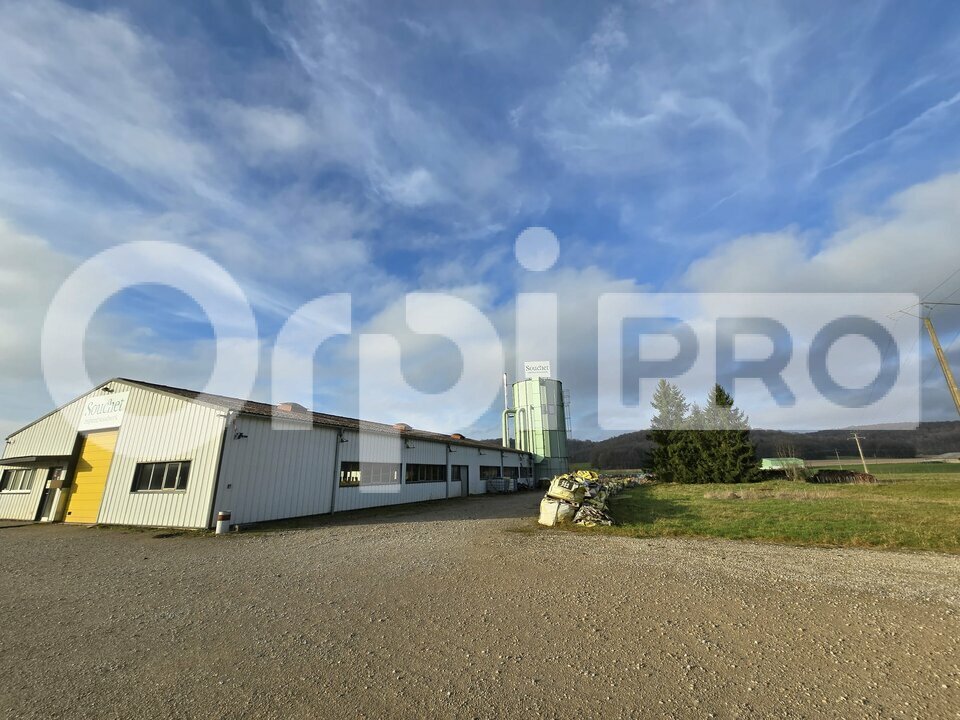 ORPI SARL COMPTOIR IMMOBILIER CHAMPENOIS VENTE-LOCAL D'ACTIVITE-LIFFOL-LE-PETIT-52