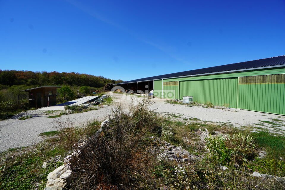 DORIS METZGER IMMOBILIER VENTE-LOCAL D'ACTIVITE-MONTROND-39
