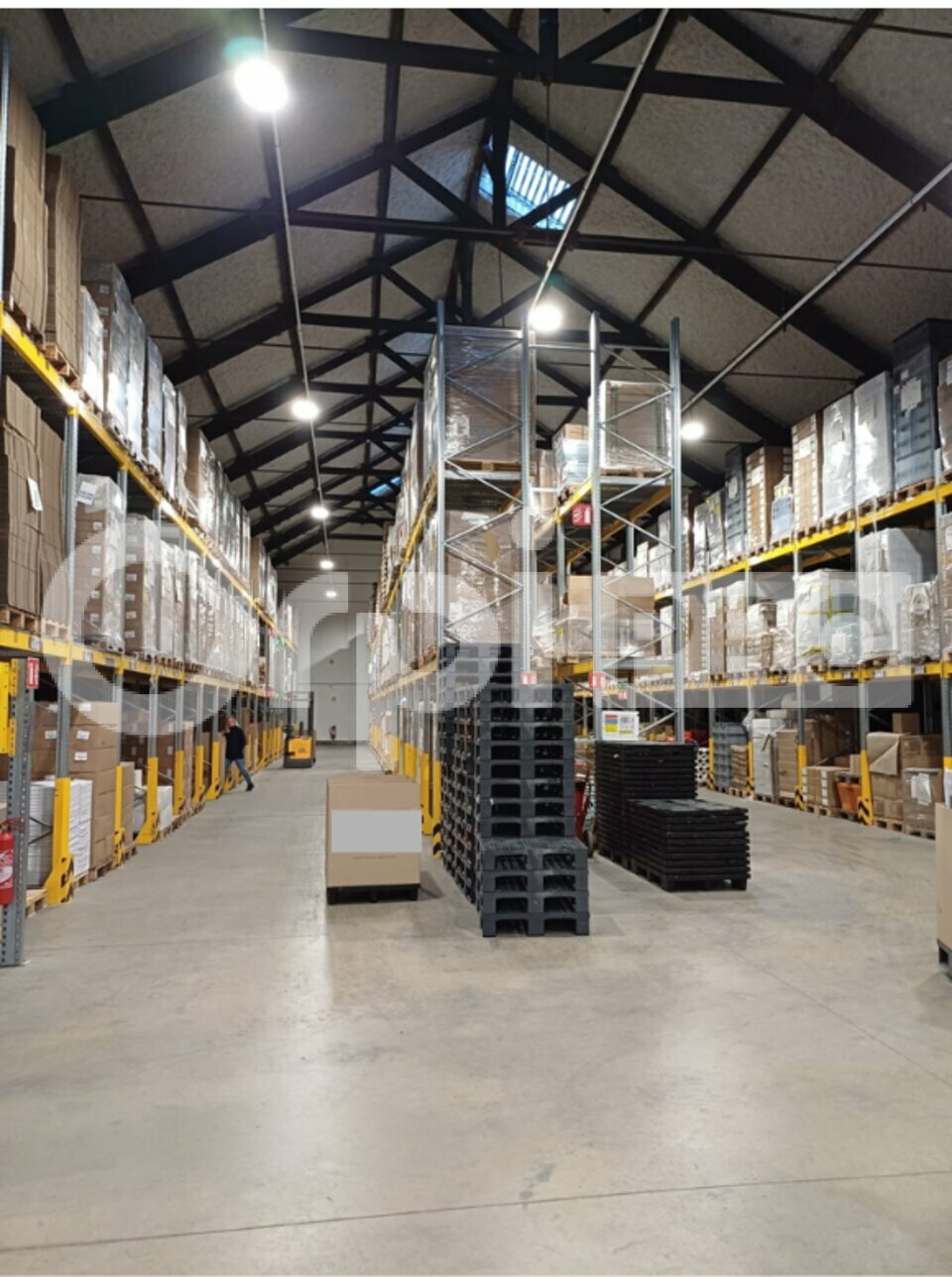 ORPI SAS DIRECT HABITAT LOCATION-LOCAL D'ACTIVITE-LE_CHEYLAS-38