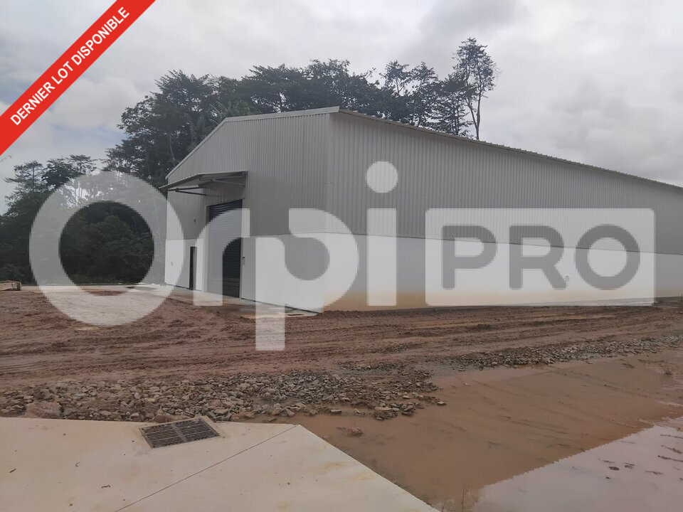 ORPI GCI VENTE-ENTREPOT-MATOURY-97
