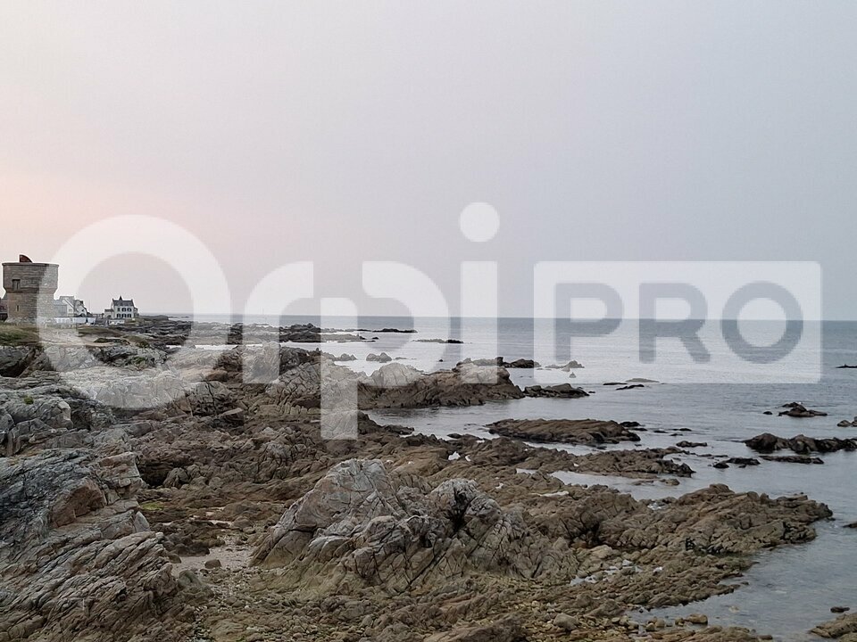 ORPI PRESQUILE FONCIER IMMOBILIER  LOCATION-LOCAL COMMERCIAL-LE_CROISIC-44