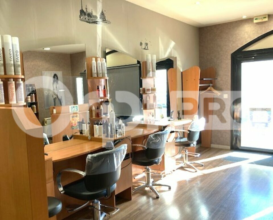 ORPI LIGERIS PRO VENTE-FONDS DE COMMERCE-LA_CHAPELLE-SAINT-MESMIN-45