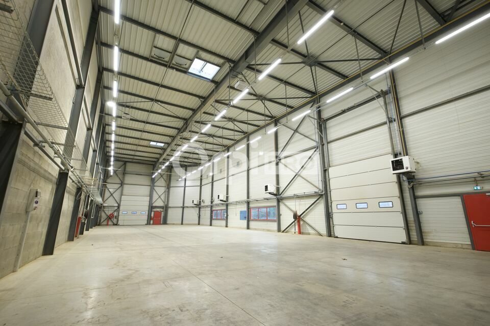 ORPI MYRIAD CONSEIL LOCATION-LOCAL D'ACTIVITE-DAGNEUX-01