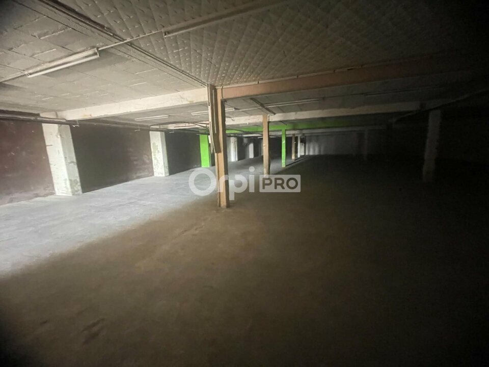 DORIS METZGER IMMOBILIER VENTE-LOCAL D'ACTIVITE-MARSANNAY_LA_COTE-21
