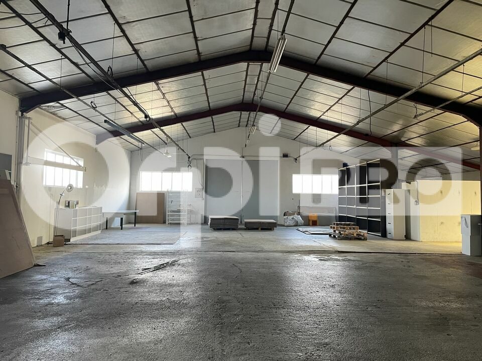 ORPI VIP BUSINESS LOCATION-LOCAL D'ACTIVITE-PONT-D-AIN-01