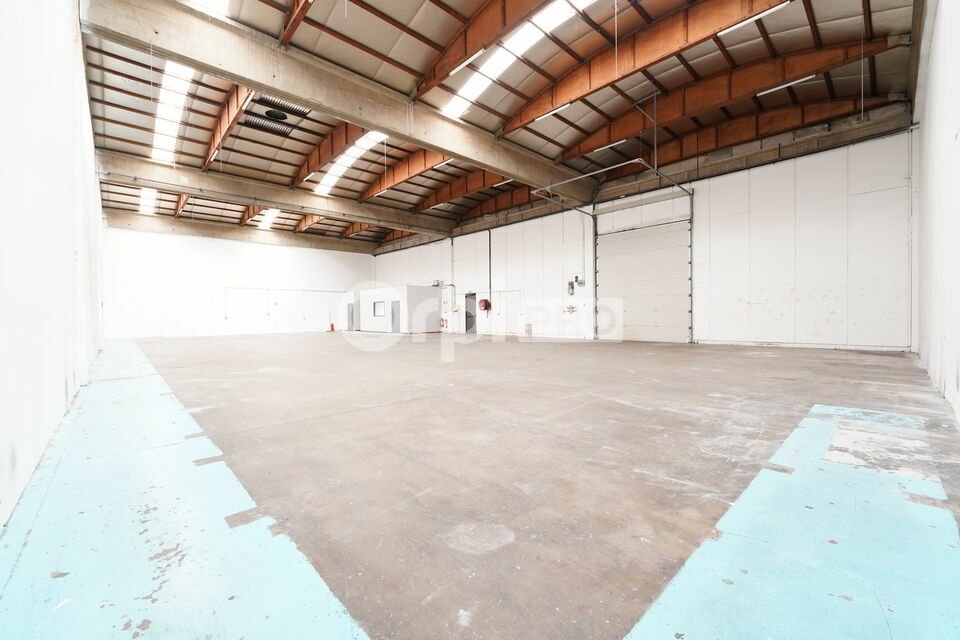 ORPI MYRIAD CONSEIL LOCATION-LOCAL D'ACTIVITE-SAINT_PRIEST-69