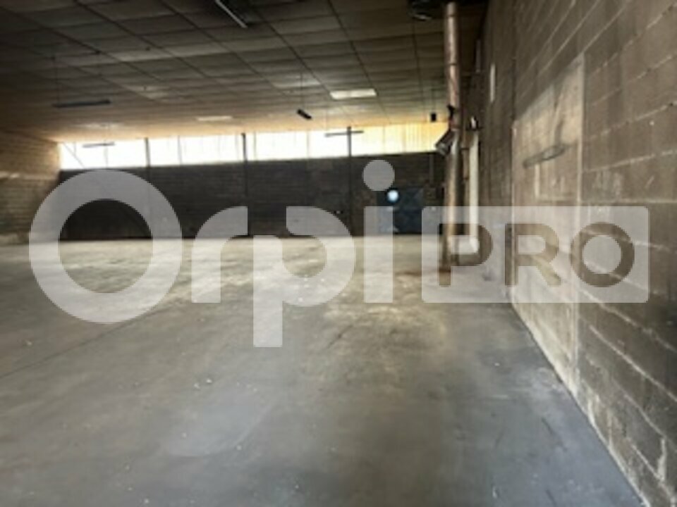 ORPI SAS DIRECT HABITAT LOCATION-LOCAL D'ACTIVITE-GLEIZE-69