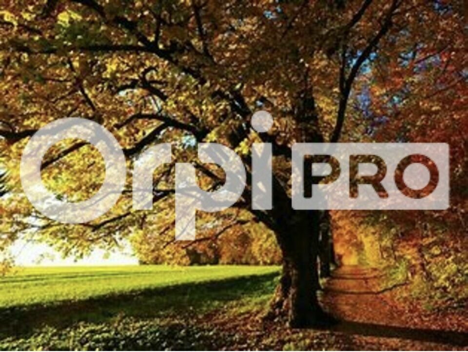 ORPI SAS DIRECT HABITAT LOCATION-BUREAUX-CIVRIEUX-D'AZERGUES-69