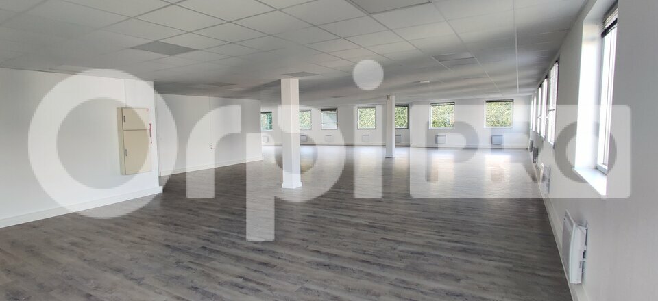 ORPI IMMO ENTRE PRO LOCATION-BUREAUX-CHEVILLY_LARUE-94