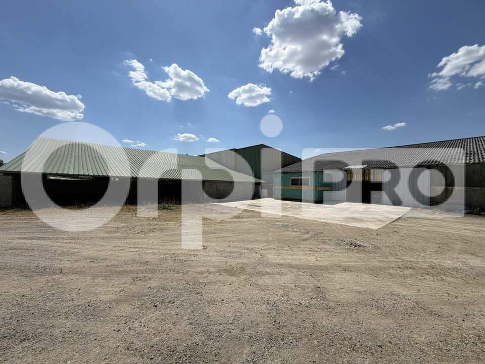 ORPI GAMBETTA IMMOBILIER VENTE-ENTREPOT-SAINT-AGNANT-DE-VERSILLAT-23