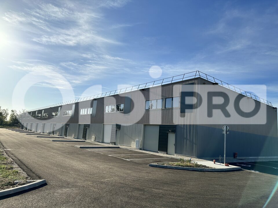 ORPI ATOUT MONTAUBAN VENTE-LOCAL D'ACTIVITE-MONTAUBAN-82