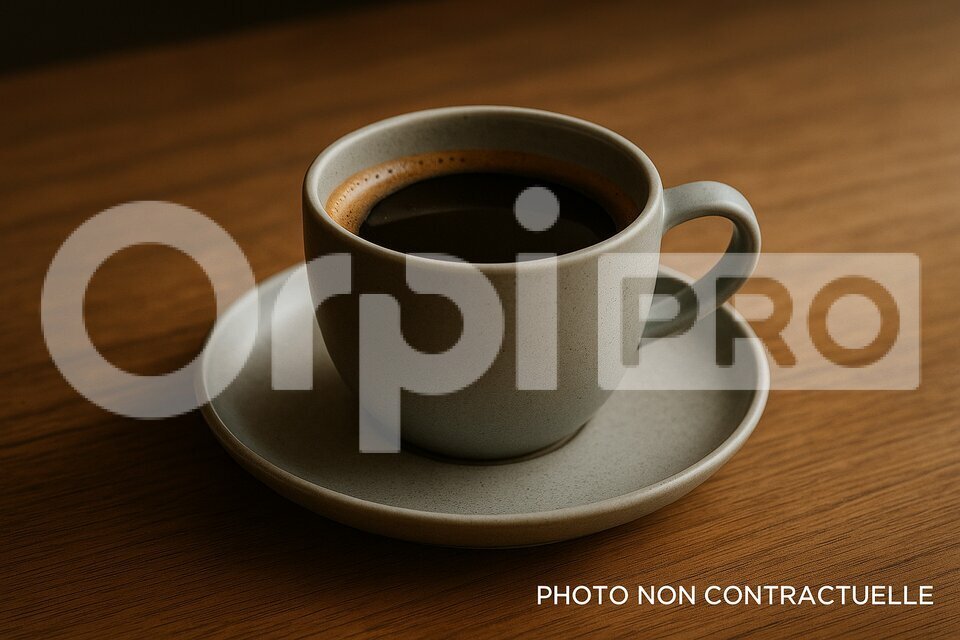 ORPI PROMISSIMO VENTE-FONDS DE COMMERCE-MONTLUCON-03