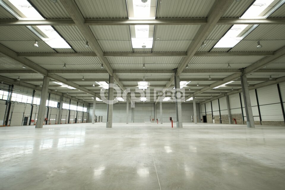ORPI MYRIAD CONSEIL LOCATION-LOCAL D'ACTIVITE-MIRIBEL-01