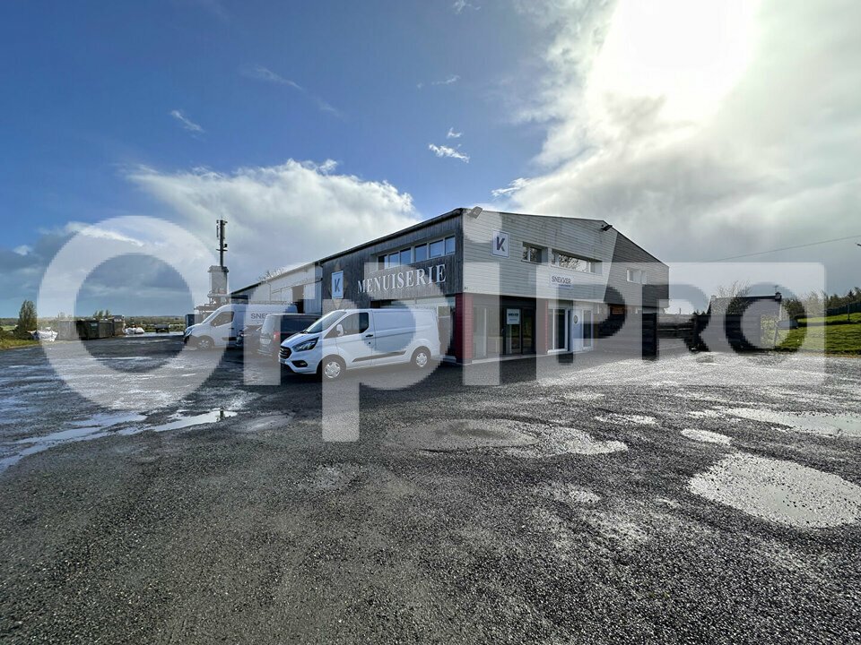 ORPI TRISKELL HABITAT ET ENTREPRISE LOCATION-LOCAL D'ACTIVITE-LANGUEUX-22