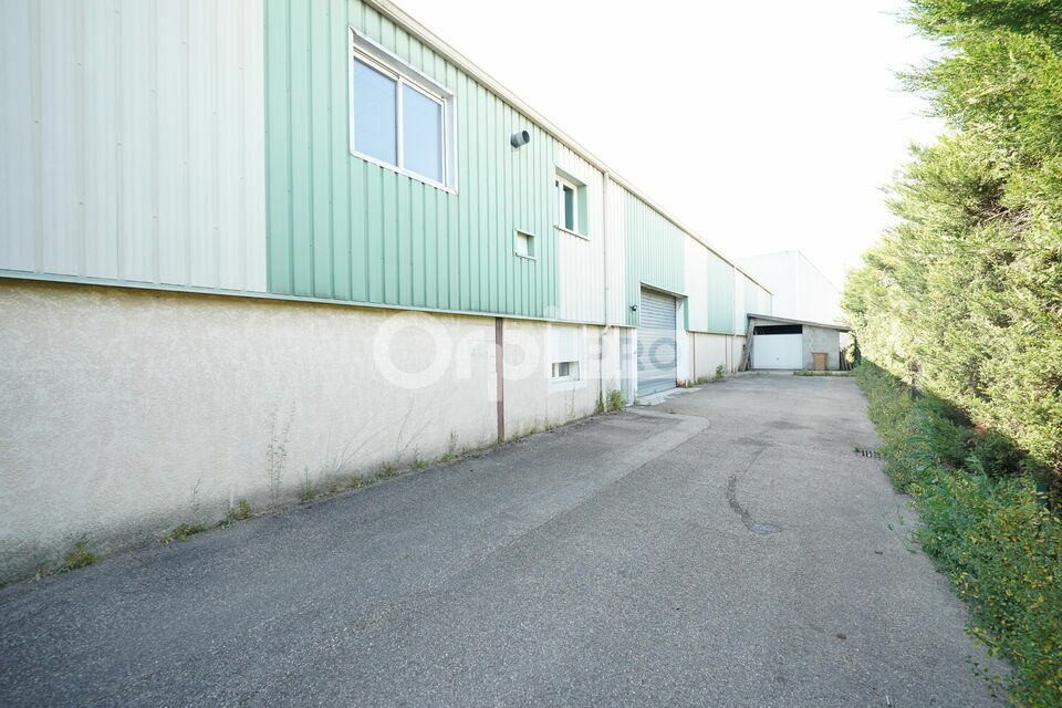 ORPI MYRIAD CONSEIL LOCATION-LOCAL D'ACTIVITE-MIONS-69