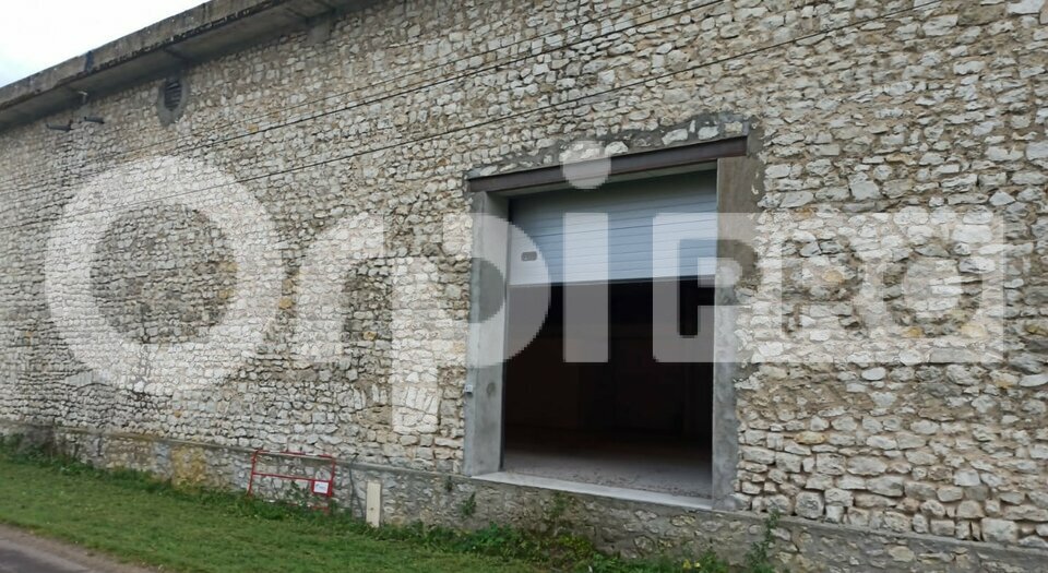 ORPI LIGERIS PRO LOCATION-ENTREPOT-CEPOY-45