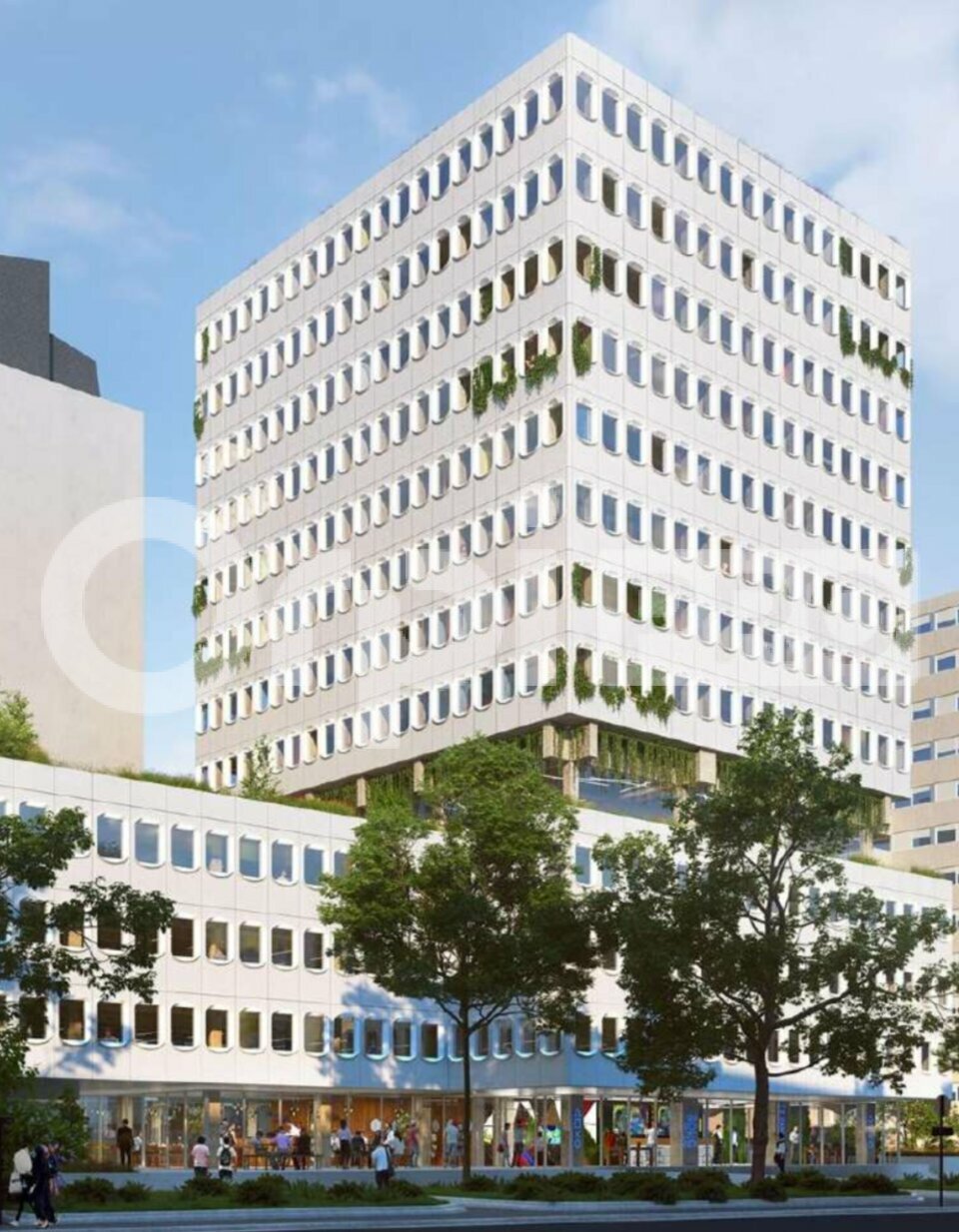 ORPI SAS DIRECT HABITAT LOCATION-BUREAUX-PARIS-75