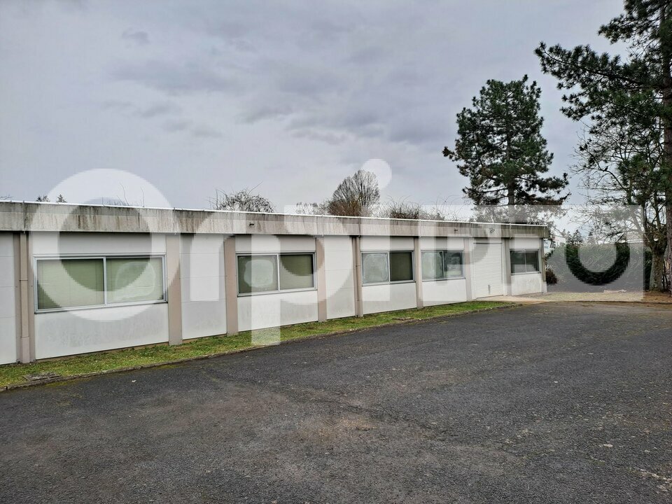 ORPI SARL COMPTOIR IMMOBILIER CHAMPENOIS LOCATION-BUREAUX-MARDEUIL-51
