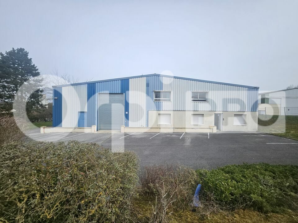 ORPI SARL COMPTOIR IMMOBILIER CHAMPENOIS LOCATION-LOCAL D'ACTIVITE-MUIZON-51