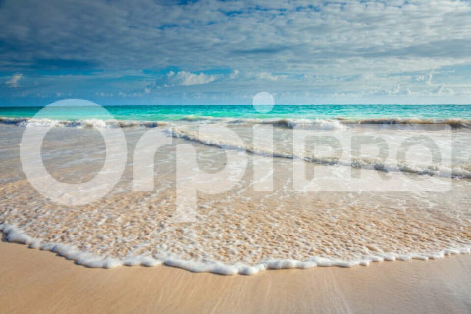 ORPI ANTHINEA PRO VENTE-FONDS DE COMMERCE-MARSEILLAN-34
