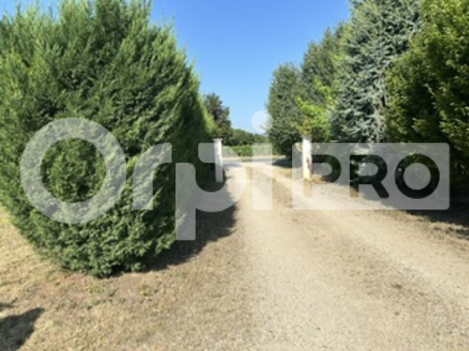 ORPI SAS DIRECT HABITAT VENTE-BUREAUX-BELLEVILLE-69