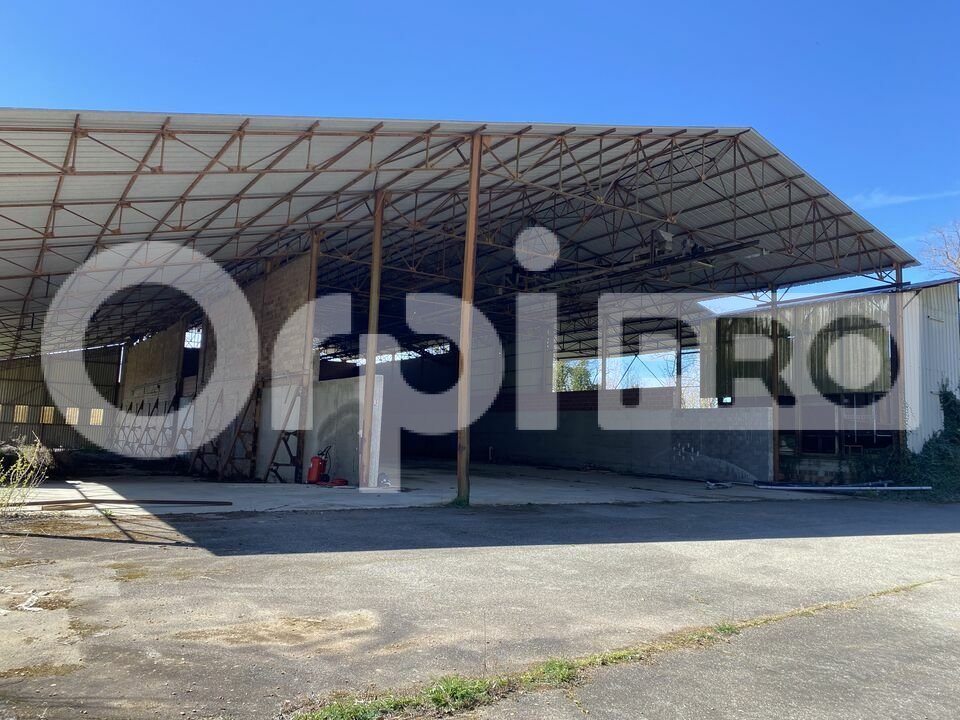 ORPI ATOUT MONTAUBAN LOCATION-ENTREPOT-DIEUPENTALE-82
