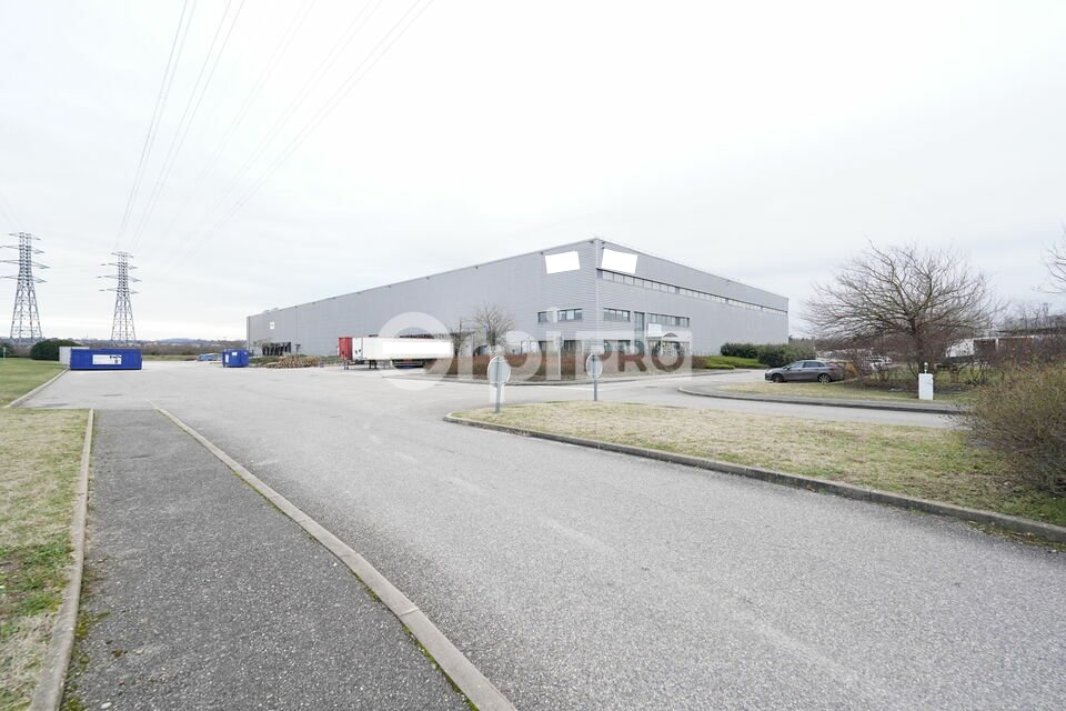 ORPI MYRIAD CONSEIL LOCATION-ENTREPOT-MIONS-69