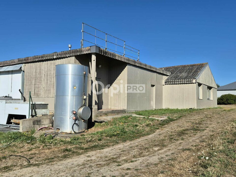 ORPI SARL AGENCE DE BRETAGNE VENTE-LOCAL D'ACTIVITE-REDENE-29