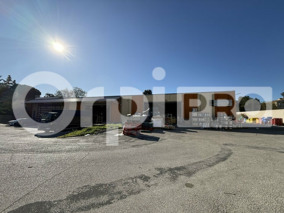 ORPI SARL COMPTOIR IMMOBILIER CHAMPENOIS LOCATION-LOCAL D'ACTIVITE-MARSEILLE-13