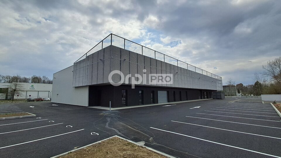 ORPI IMMOBILIERE DU LUY LOCATION-LOCAL D'ACTIVITE-PAU-64