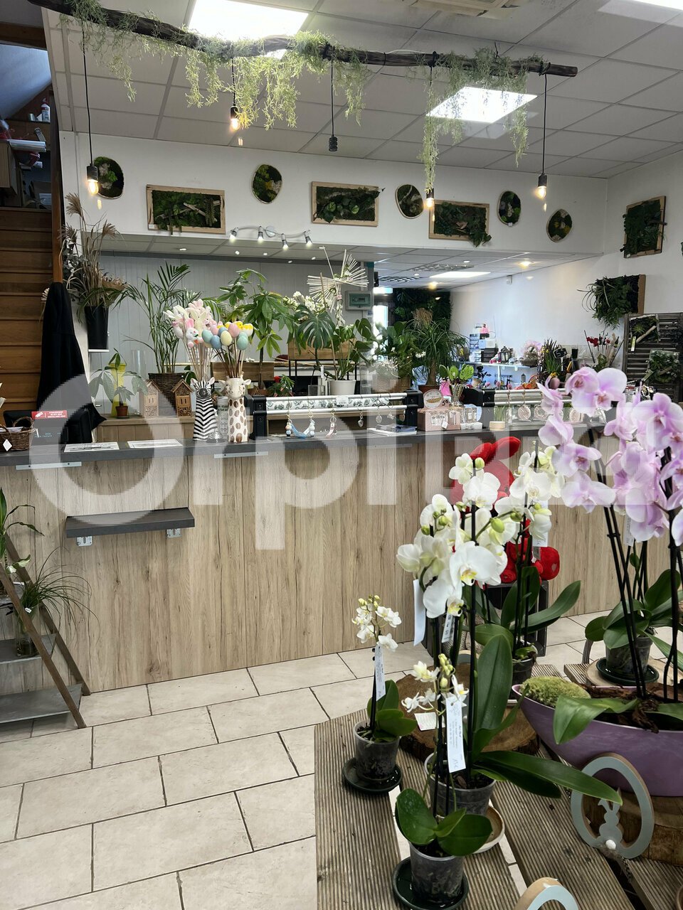 ORPI SARL COMPTOIR IMMOBILIER CHAMPENOIS VENTE-FONDS DE COMMERCE-REIMS-51