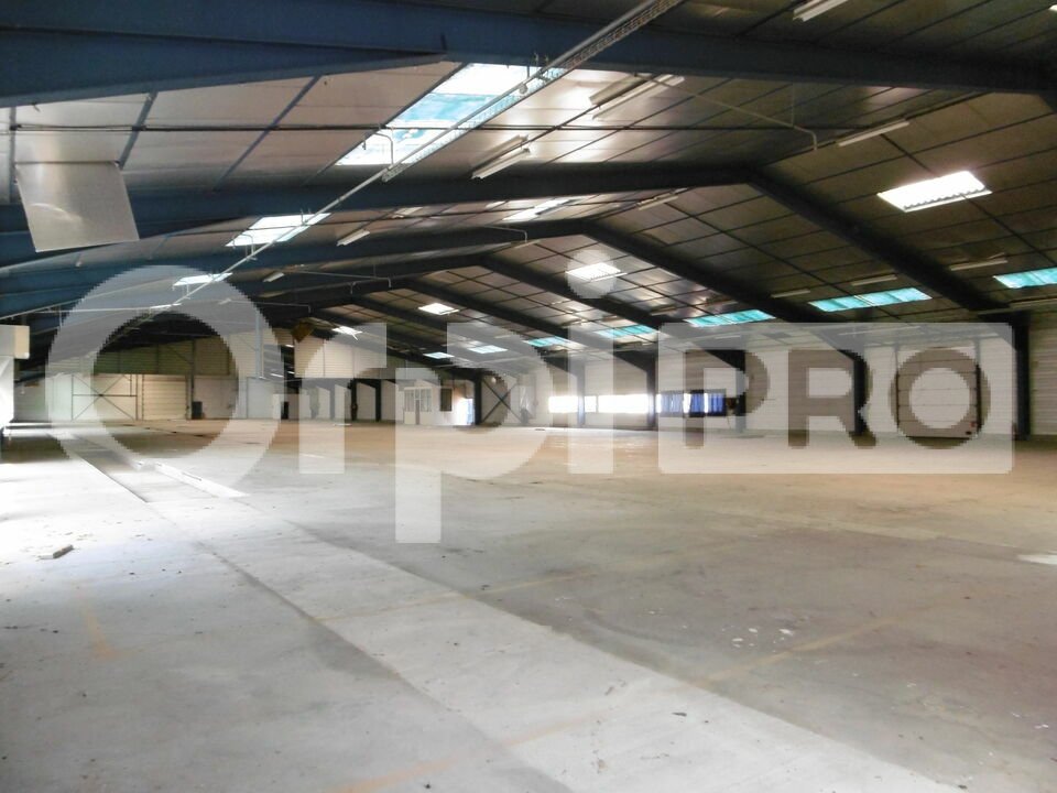 ORPI ATOUT MONTAUBAN VENTE-ENTREPOT-ALBIAS-82