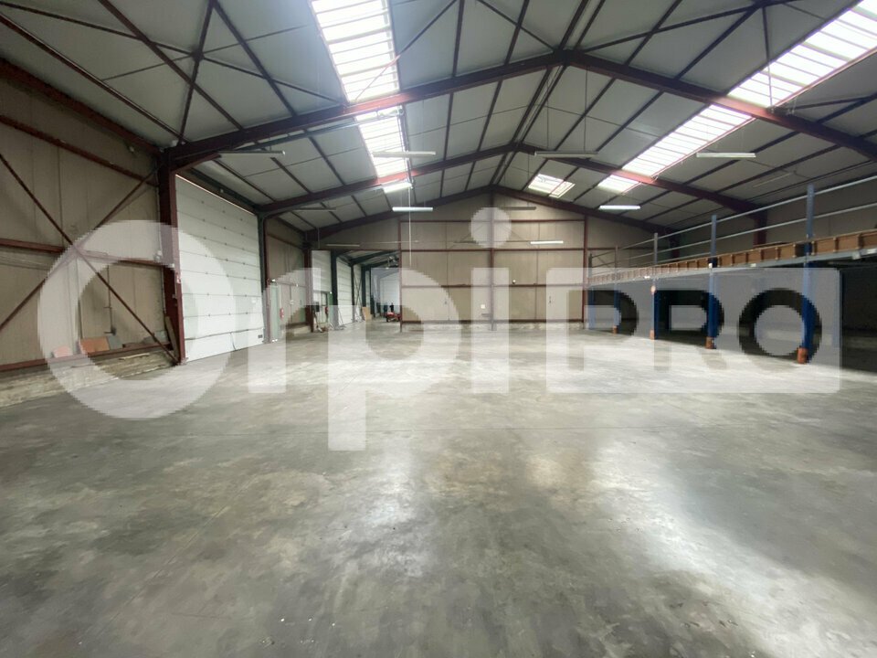 ORPI SAS DIRECT HABITAT LOCATION-LOCAL D'ACTIVITE-TREVOUX-01