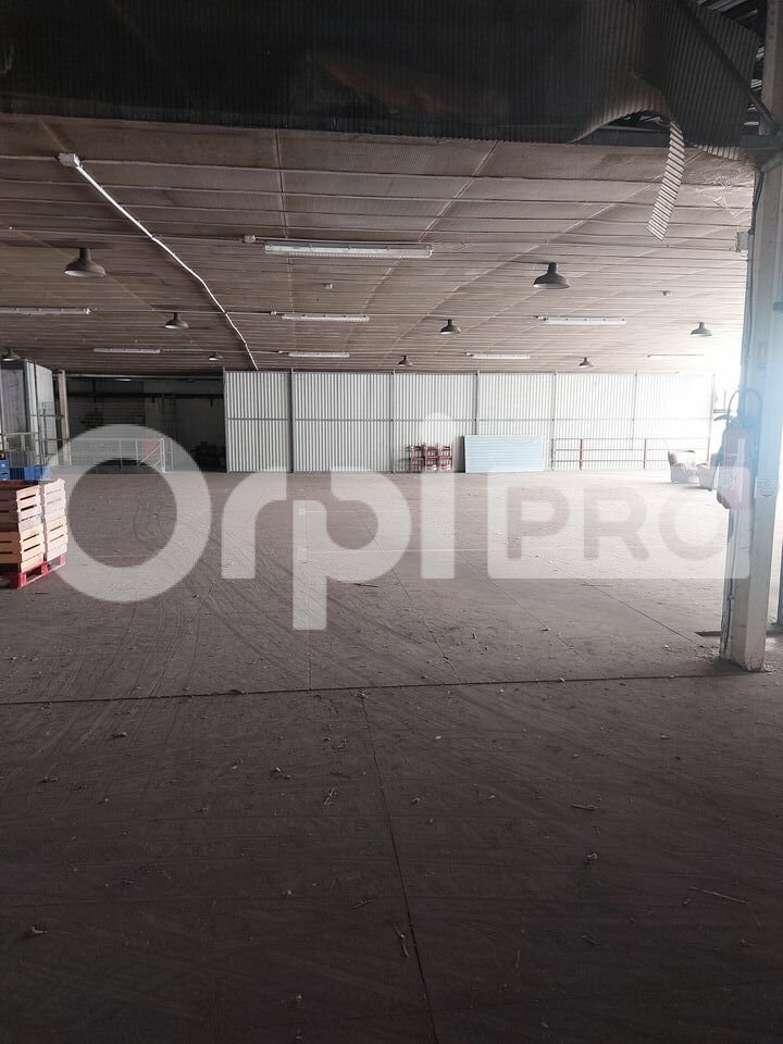 ORPI AGENCE R BASSANELLI LOCATION-ENTREPOT-GREOUX_LES_BAINS-04